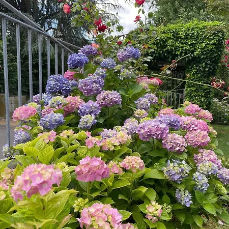 Ferrari Serramazzoni